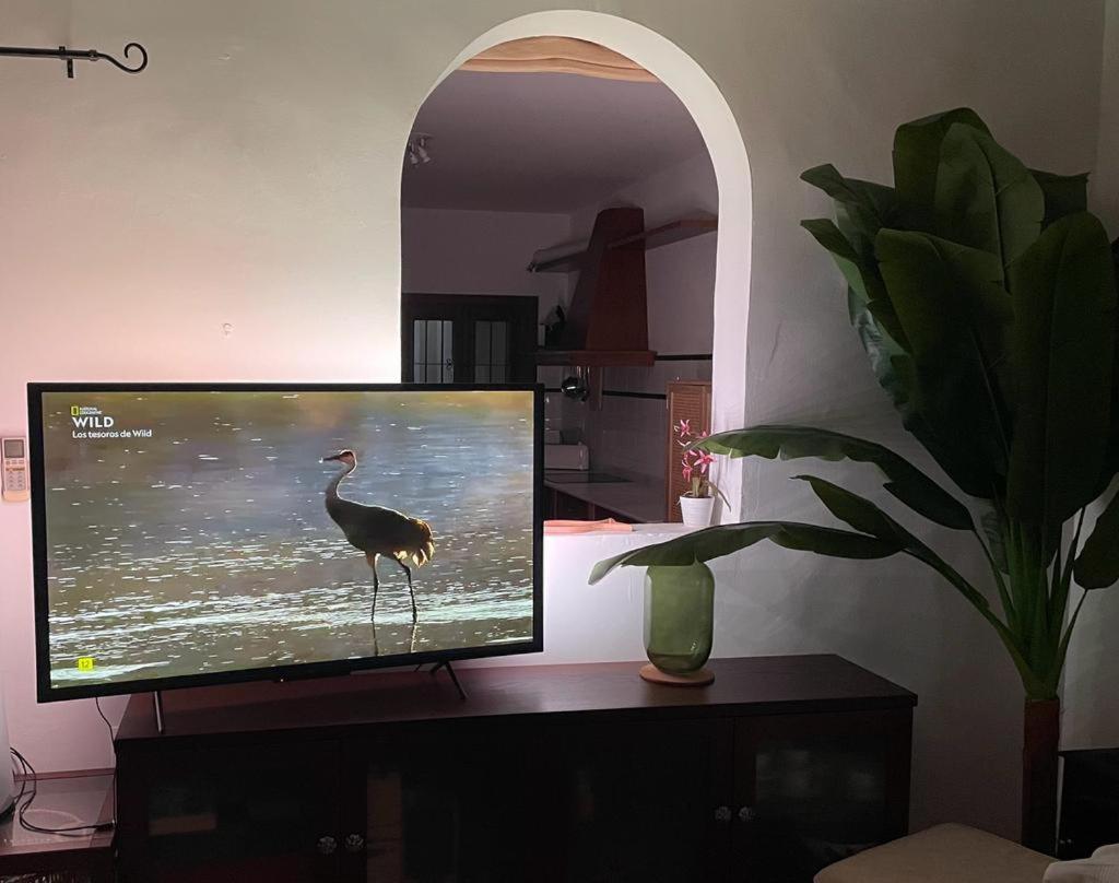 Casa Con Piscina En San Jose Sotillo Экстерьер фото